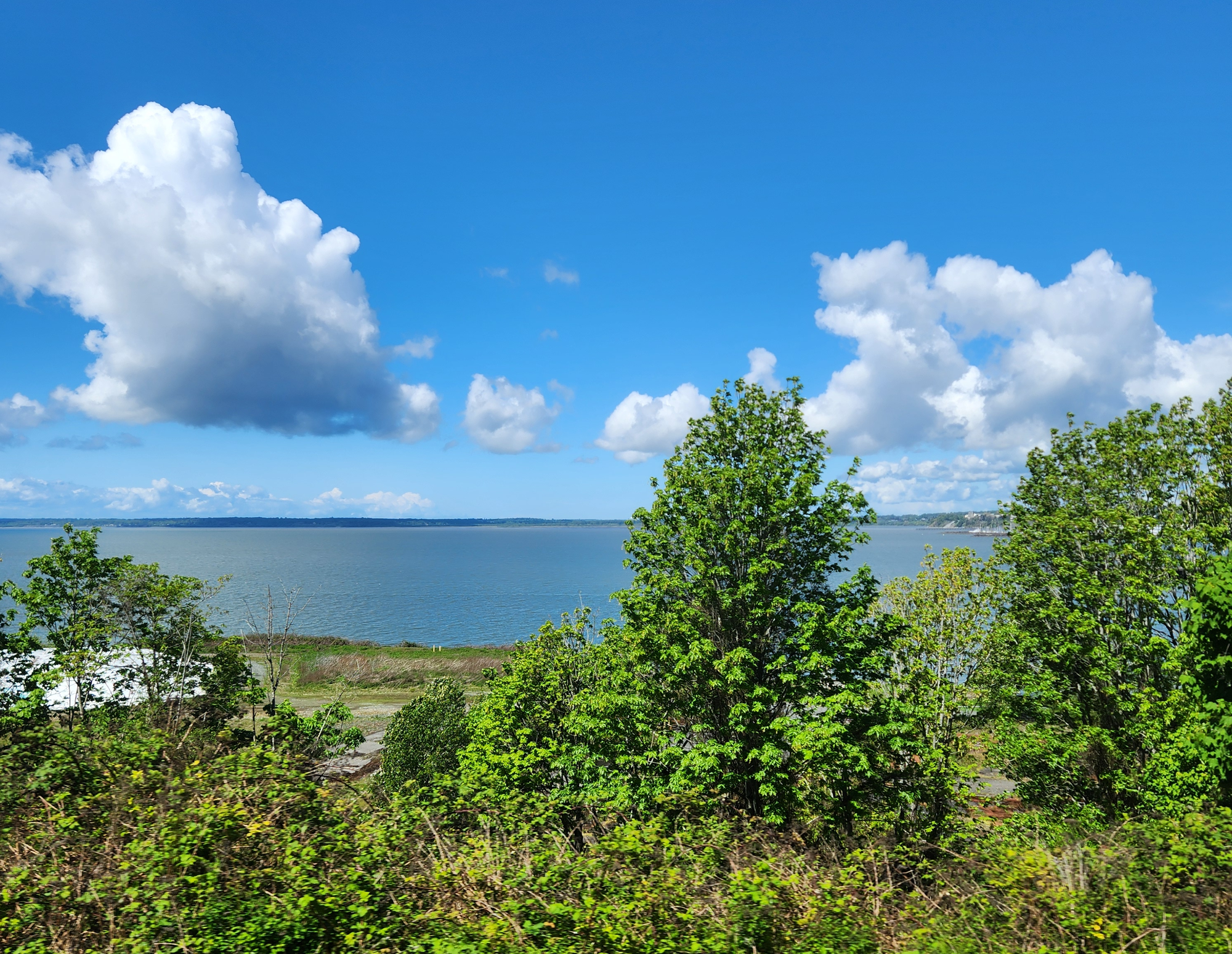 A view of Bellingham Bay with trees in the foreground and water the middle and partly sunny skies beyond.