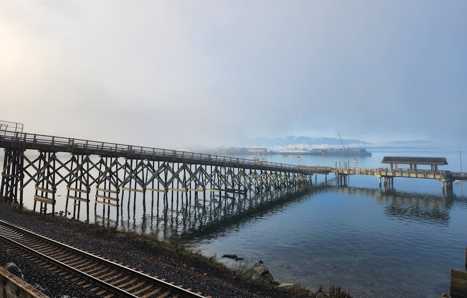 A dock slopes down toward Bellingham Bay, with a thick bank of fog overhead.