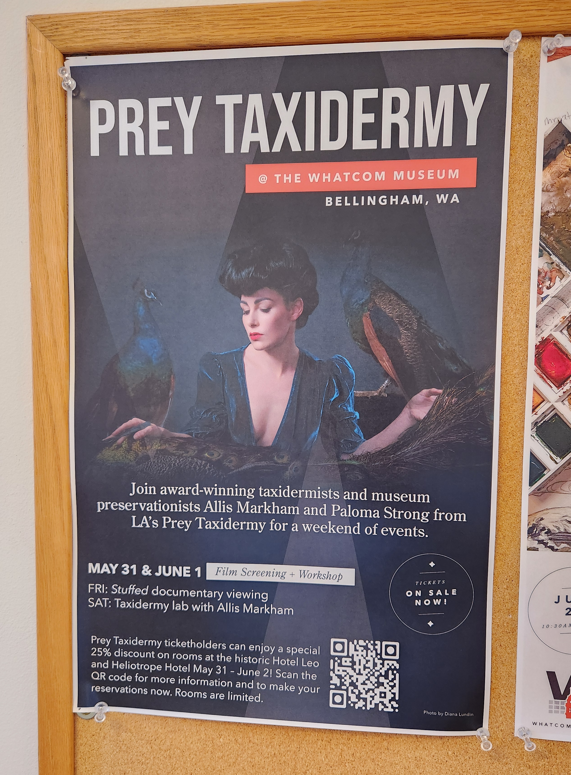 A promotional poster for the Prey Taxidermy film screening and workshop at the Whatcom Museum.