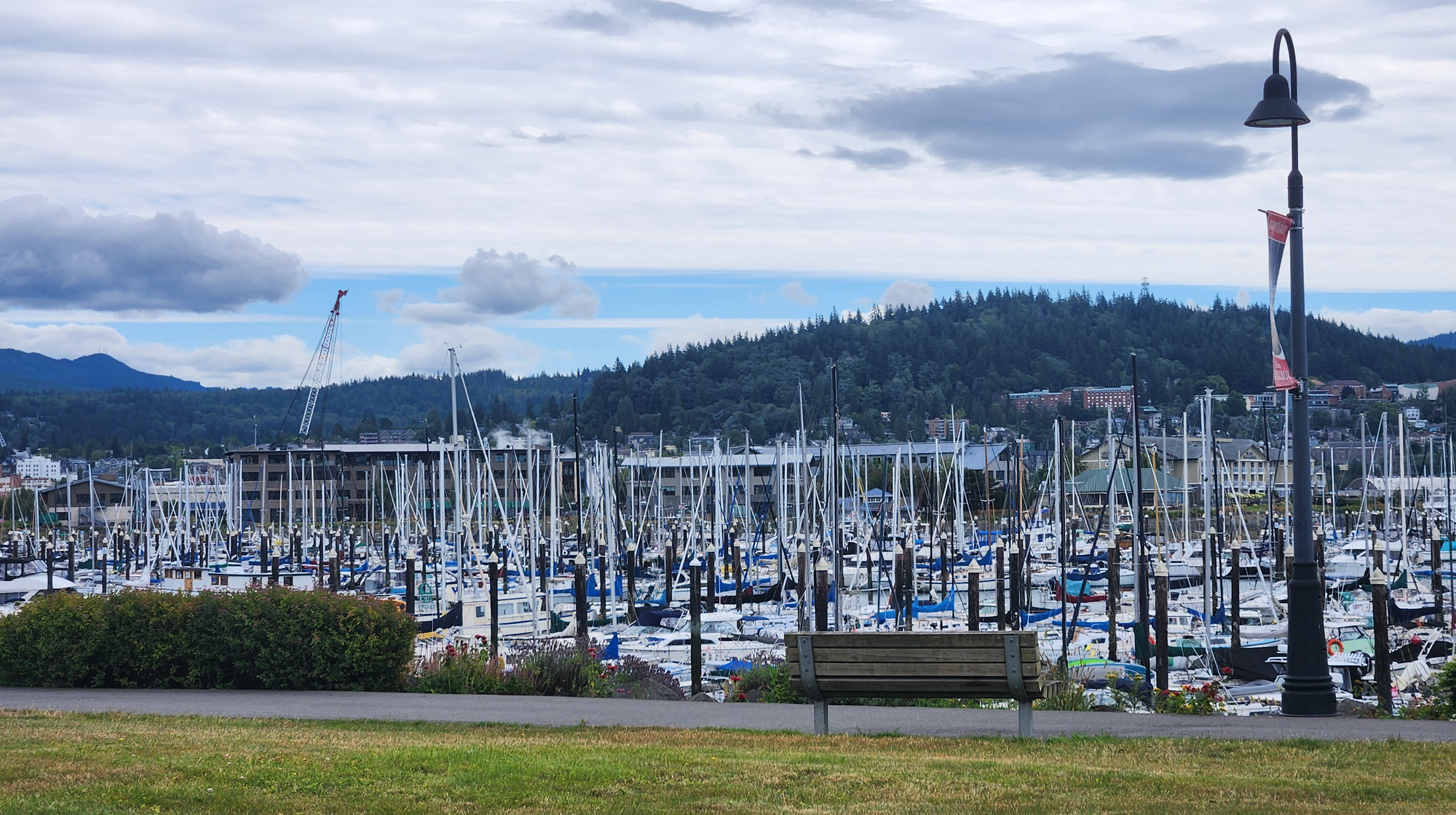 The Squalicum Harbor and it docked boats with Downtown Bellingham in view over yonder. 