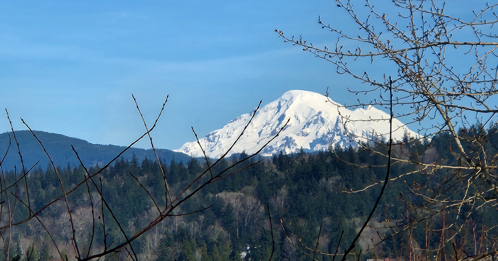 A snow-capped Koma Kulshan (Mount Baker) rising about a ridgeline.