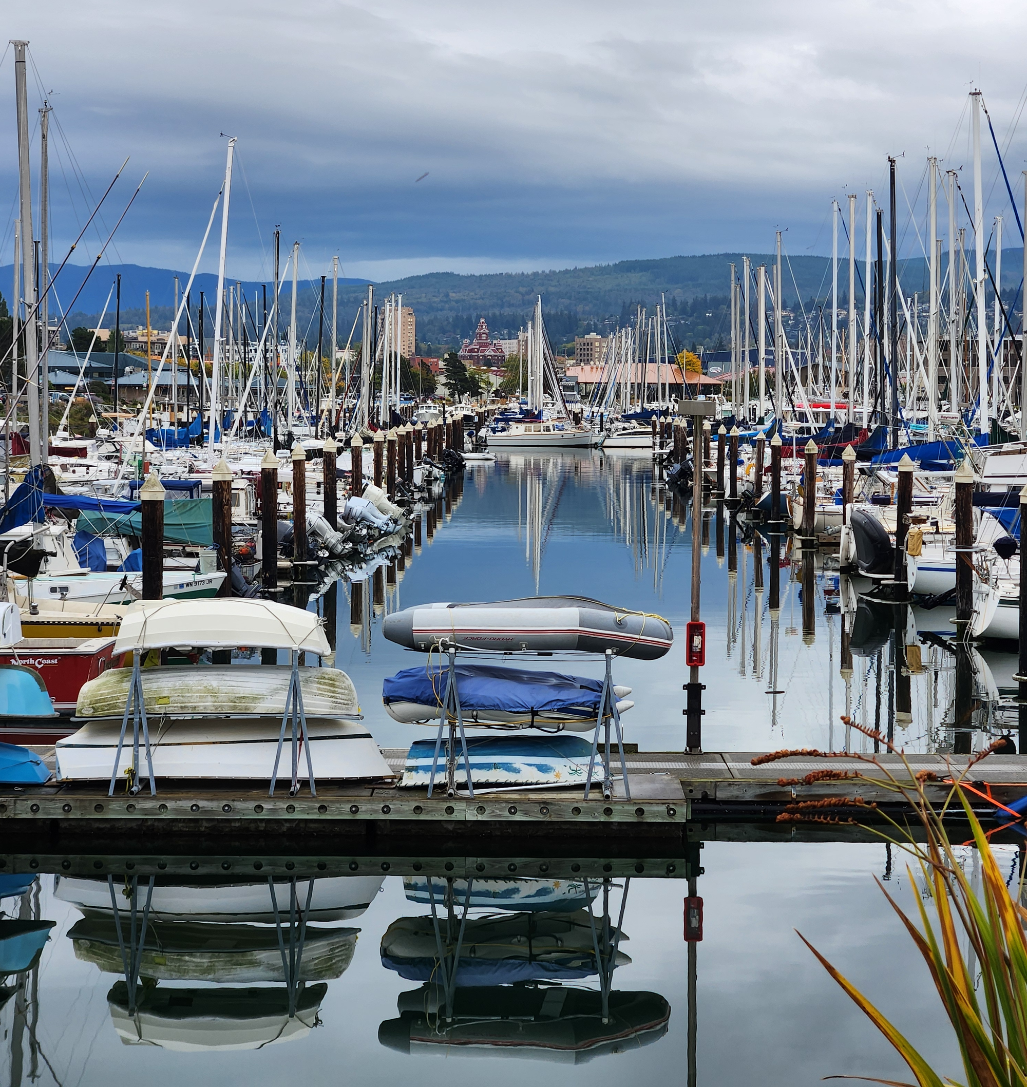 Near the end of Route 47, you get nice views of boats in Squalicum Harbor.